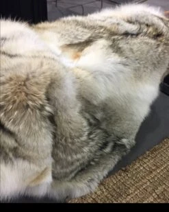 M.Miller Real Coyote Fur Section Throw Blanket