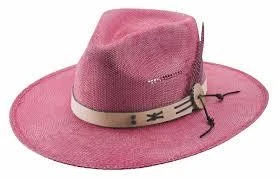 Bullhide Chasing Summer In Pink 5041 CHD 1 Bullhide Chasing Summer In Pink 5041 CHD