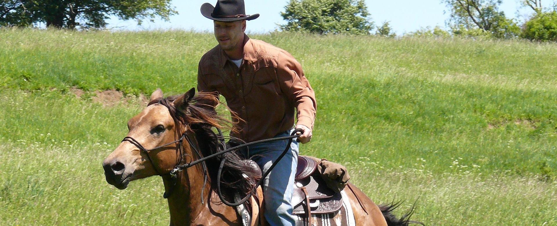 Western Denim Store -Western Denim Store rodeo 515612 1920